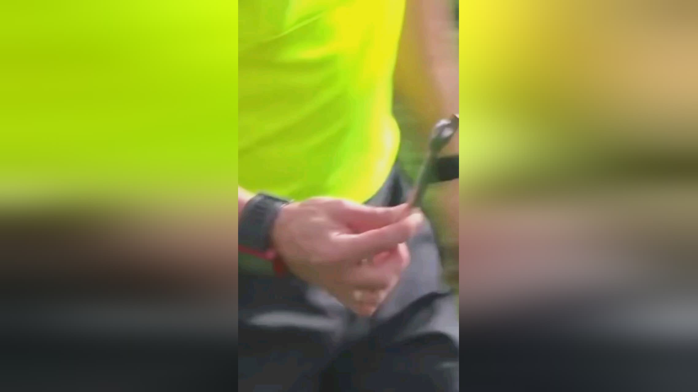 获佳绩这