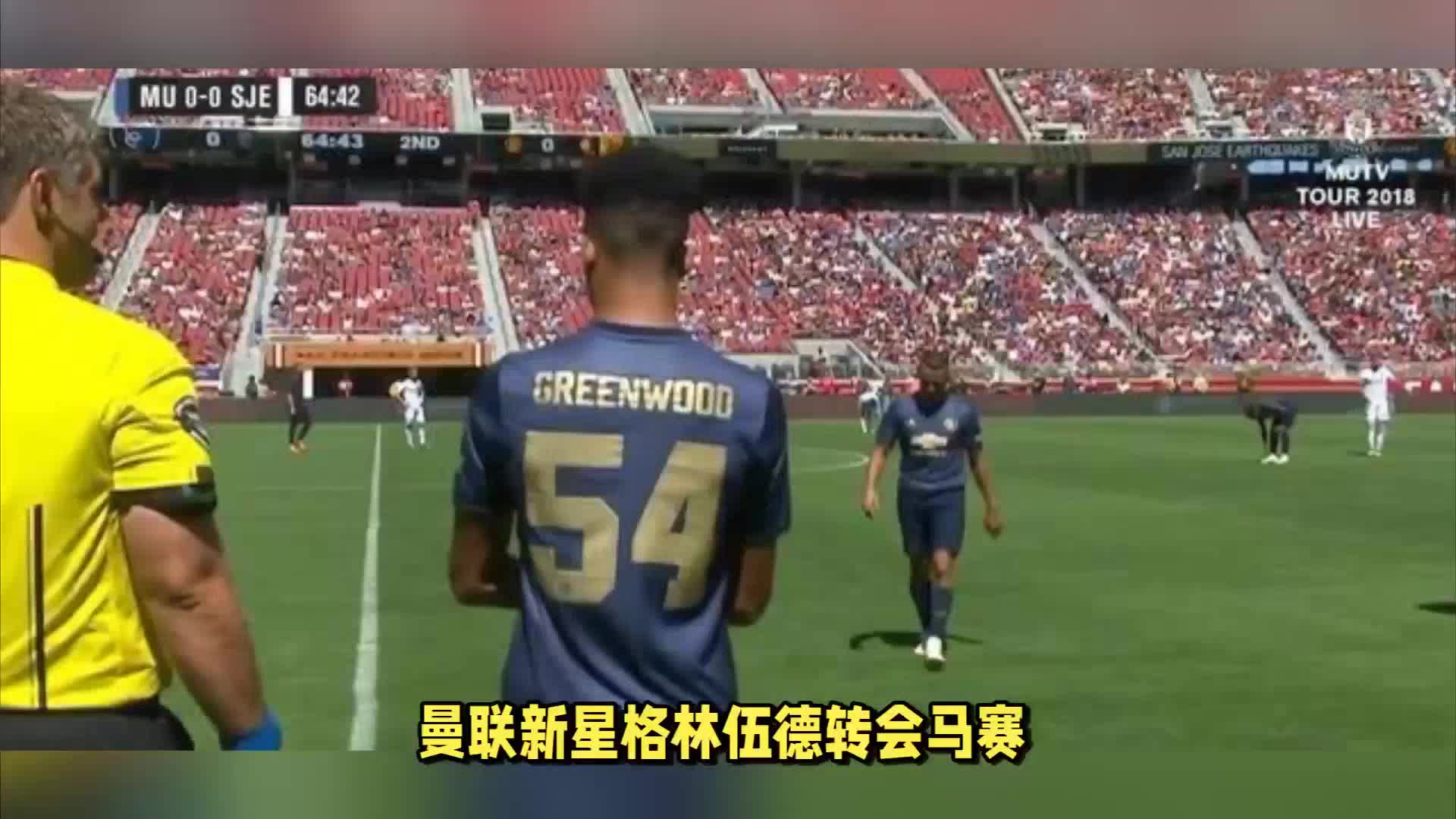雷茨卡与