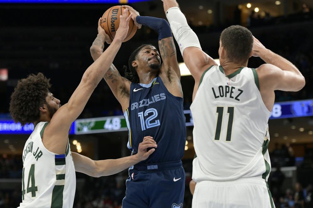 样性经验 样性经验